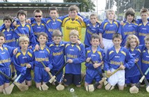 BUTLERSTOWN V KILMACTHOMAS EASTERN PRIMARY SCHOOLS C HURLING FIN