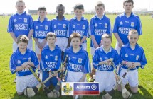 BOYS EASTERN PRIMARY SCHOOLS MINI SEVENS HURLING FINALS