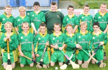 BUTLERSTOWN V SCOIL LORCÃIN U13 PRIMARY SCHOOLS B EASTERN HURLI