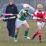 PRIMARY SCHOOLS EASTERN ALLIANZ MINI SEVENS CAMOGIE AND HURLING