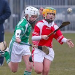 PRIMARY SCHOOLS EASTERN ALLIANZ MINI SEVENS CAMOGIE AND HURLING