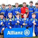 EASTERN U11 HURLING FINALS 2013