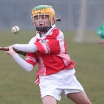 PRIMARY SCHOOLS EASTERN ALLIANZ MINI SEVENS CAMOGIE AND HURLING