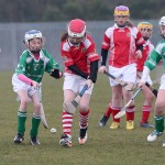 PRIMARY SCHOOLS EASTERN ALLIANZ MINI SEVENS CAMOGIE AND HURLING