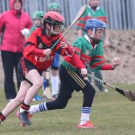 PRIMARY SCHOOLS EASTERN ALLIANZ MINI SEVENS CAMOGIE AND HURLING