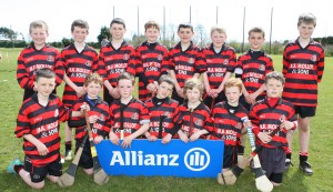 EASTERN U11 HURLING FINALS 2013