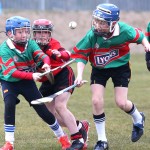 PRIMARY SCHOOLS EASTERN ALLIANZ MINI SEVENS CAMOGIE AND HURLING