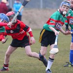 PRIMARY SCHOOLS EASTERN ALLIANZ MINI SEVENS CAMOGIE AND HURLING