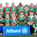 EASTERN U11 HURLING FINALS 2013