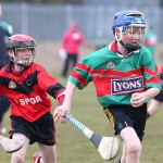 PRIMARY SCHOOLS EASTERN ALLIANZ MINI SEVENS CAMOGIE AND HURLING