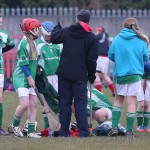 PRIMARY SCHOOLS EASTERN ALLIANZ MINI SEVENS CAMOGIE AND HURLING