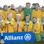 EASTERN U11 HURLING FINALS 2013