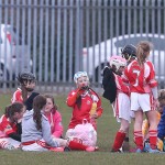 PRIMARY SCHOOLS EASTERN ALLIANZ MINI SEVENS CAMOGIE AND HURLING