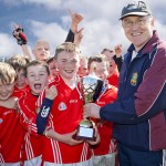 EASTERN U11 HURLING FINALS 2013