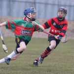 PRIMARY SCHOOLS EASTERN ALLIANZ MINI SEVENS CAMOGIE AND HURLING