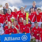 EASTERN U11 HURLING FINALS 2013