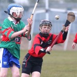 PRIMARY SCHOOLS EASTERN ALLIANZ MINI SEVENS CAMOGIE AND HURLING