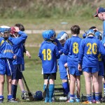 EASTERN U11 HURLING FINALS 2013