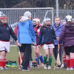 PRIMARY SCHOOLS EASTERN ALLIANZ MINI SEVENS CAMOGIE AND HURLING