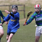 EASTERN U11 HURLING FINALS 2013