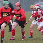 PRIMARY SCHOOLS EASTERN ALLIANZ MINI SEVENS CAMOGIE AND HURLING