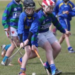 EASTERN U11 HURLING FINALS 2013