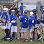 PRIMARY SCHOOLS EASTERN ALLIANZ MINI SEVENS CAMOGIE AND HURLING