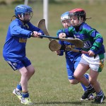 EASTERN U11 HURLING FINALS 2013