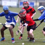 PRIMARY SCHOOLS EASTERN ALLIANZ MINI SEVENS CAMOGIE AND HURLING