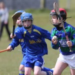 EASTERN U11 HURLING FINALS 2013