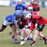 PRIMARY SCHOOLS EASTERN ALLIANZ MINI SEVENS CAMOGIE AND HURLING