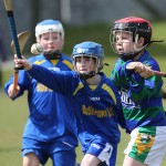 EASTERN U11 HURLING FINALS 2013