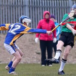 PRIMARY SCHOOLS EASTERN ALLIANZ MINI SEVENS CAMOGIE AND HURLING