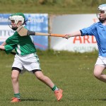 EASTERN U11 HURLING FINALS 2013