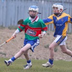 PRIMARY SCHOOLS EASTERN ALLIANZ MINI SEVENS CAMOGIE AND HURLING