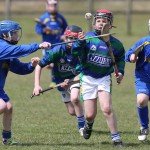 EASTERN U11 HURLING FINALS 2013