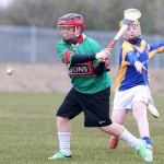 PRIMARY SCHOOLS EASTERN ALLIANZ MINI SEVENS CAMOGIE AND HURLING