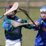 EASTERN U11 HURLING FINALS 2013