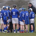 PRIMARY SCHOOLS EASTERN ALLIANZ MINI SEVENS CAMOGIE AND HURLING