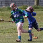 EASTERN U11 HURLING FINALS 2013