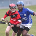 PRIMARY SCHOOLS EASTERN ALLIANZ MINI SEVENS CAMOGIE AND HURLING