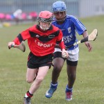 PRIMARY SCHOOLS EASTERN ALLIANZ MINI SEVENS CAMOGIE AND HURLING