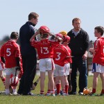 EASTERN U11 HURLING FINALS 2013