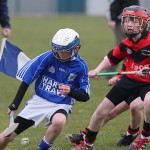 PRIMARY SCHOOLS EASTERN ALLIANZ MINI SEVENS CAMOGIE AND HURLING