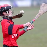 PRIMARY SCHOOLS EASTERN ALLIANZ MINI SEVENS CAMOGIE AND HURLING