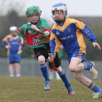 PRIMARY SCHOOLS EASTERN ALLIANZ MINI SEVENS CAMOGIE AND HURLING