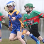 PRIMARY SCHOOLS EASTERN ALLIANZ MINI SEVENS CAMOGIE AND HURLING