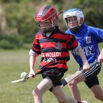 EASTERN U11 HURLING FINALS 2013