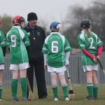 PRIMARY SCHOOLS EASTERN ALLIANZ MINI SEVENS CAMOGIE AND HURLING