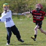 EASTERN U11 HURLING FINALS 2013